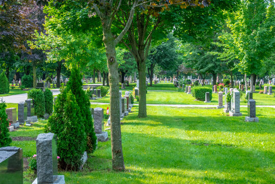 L'intérieur d'un cimetière, pelouse verdoyante, arbres divers et pierres tombales